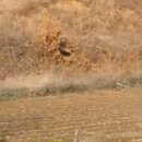 미천면-2 이미지