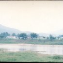 도리도리 이미지