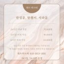 직장이 가장 배우고 싶은 오피스 문서 작성법 | 탄원서 대필 워드마스터가 알려주는 진심을 담은 작성법