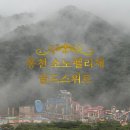 경보 골드 | 홍천 소노펠리체 비발디파크 골드 스위트 후기ㅣ 대가족 숙소 추천