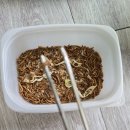 성진개발(주) | [농대 일상] 전공심화 4학년 동기의&#39;성진선봉밀웜&#39;🐛