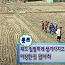힘(HIM)