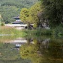도동천 이미지