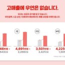 피자스톰 이미지