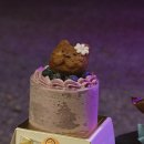 숲속에 머물다 이미지