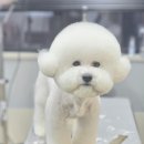 몽말순 이미지