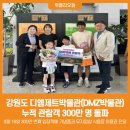 강원도디엠제트박물관 이미지