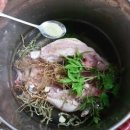 선화천년초