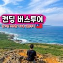 투어넘버원 | 가오슝 일일투어 대만 컨딩 여행 당일치기 버스투어 후기