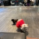 발넷이야 이미지