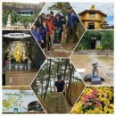 감포2리 이미지