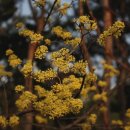 (2024년4월)시민건강강좌 100세시대 건강하게 살아가는 방법 이미지