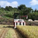 강진6호 이미지