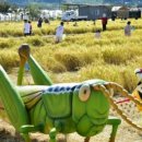 메뚜기 펜션 이미지