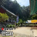 송암 | 청주 부처님 오신 날 행사 안심사 이날만 공개 되는 영산회 괘불탱