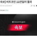 비트코인 11만달러 돌파 이미지