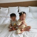코코망고키즈가족독채풀빌라펜션 이미지