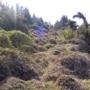 유수암보건진료소 이미지