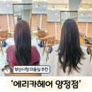 소희 | 부산시청미용실 추천 '에리카헤어 양정점' 소희디자이너 전체염색 후기