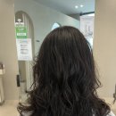 시크헤어 이미지