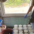 3형제농장 이미지