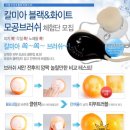 화이트부러쉬 이미지