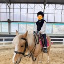 용인씨씨승마클럽 | [교육] 학생 승마체험 성남시청 지원사업 분당승마클럽 포니3등급 금액 마사회