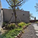 제주서가 이미지