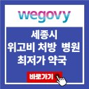 세종시 위고비 처방 병원 최저가 약국 가격 비교 가장 싼 곳 찾고 14만원 절약하세요