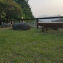 사랑에뜰안