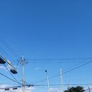상사흑돼지촌