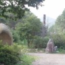 평창송어횟집 이미지