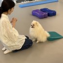 헬로우버디