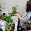 더펫하우스협동조합 - 서구 풍금로38번길 45 | 더펫하우스협동조합