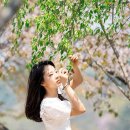송지연