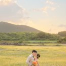 우만농장 | 제주 웨딩스냅 촬영 후기(러베이/ 비용/드레스샵/오퍼스웨딩/소품/준비물/촬영 부케/식전영상)