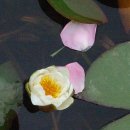 경주목장 이미지