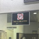 하얀세상 | 온세상이모두하얀나라였지