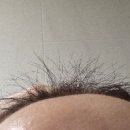 모본한의원 이미지