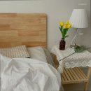 달팽이하우스 이미지