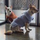 더왈츠앤조이피아 이미지