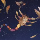 평화4(별자리) 이미지