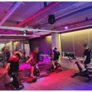 알짐 리커버리 이미지