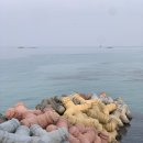 해중공원펜션 이미지