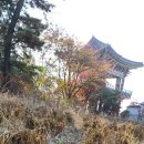 서구농장 이미지