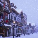 크리스마스 이미지