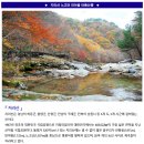 ♣11/11(토)지리산 노고단 피아골 붉은 단풍산행 이미지