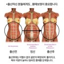 로벨 이미지