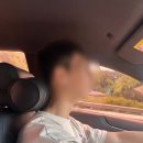 청풍 애견동반 카페 글루글루 후기