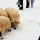 호수대중목욕탕 이미지